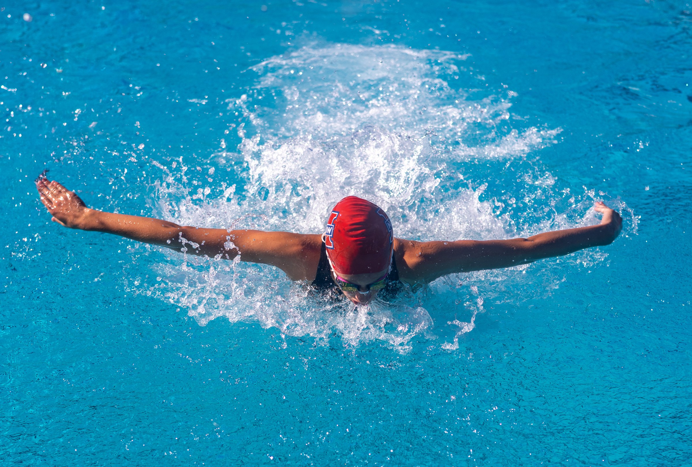 Butterfly swimmer at full wingspan seen from above